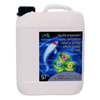 Přípravek na zelenou vodu Home Pond Brilliant Pond 5l 160 - 250 m3