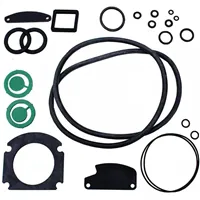 Náhradní sada těsnění pro filtr FiltoClear 3000 - 15000