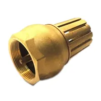 Sací koš se zpětnou klapkou 1"