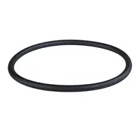 Těsnění pro filtr Atlas 3P