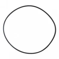 Těsnění pod víko Filtoclear 5000, 13000, 19000, 31000