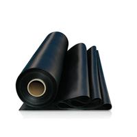 PVC jezírková fólie 1 mm / zbytkové kusy Fatra Aquaplast 805/V-FI černá - cena za m2