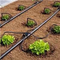 Sestava kapkové závlahy pomocí kapkovačů - Varianta B)