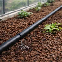 Sestava kapkové závlahy pomocí kapkové hadice - Varianta A)