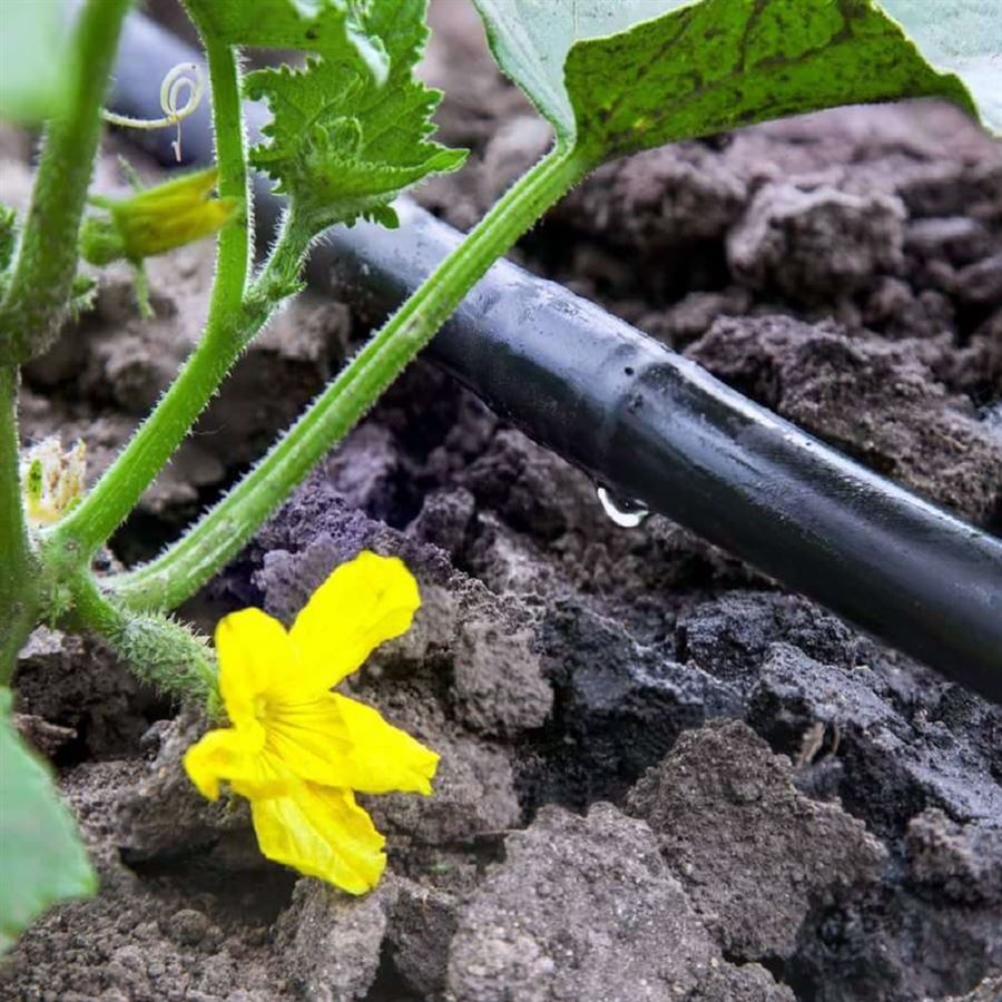 Sestava kapkové závlahy pomocí kapkové hadice - Varianta A)