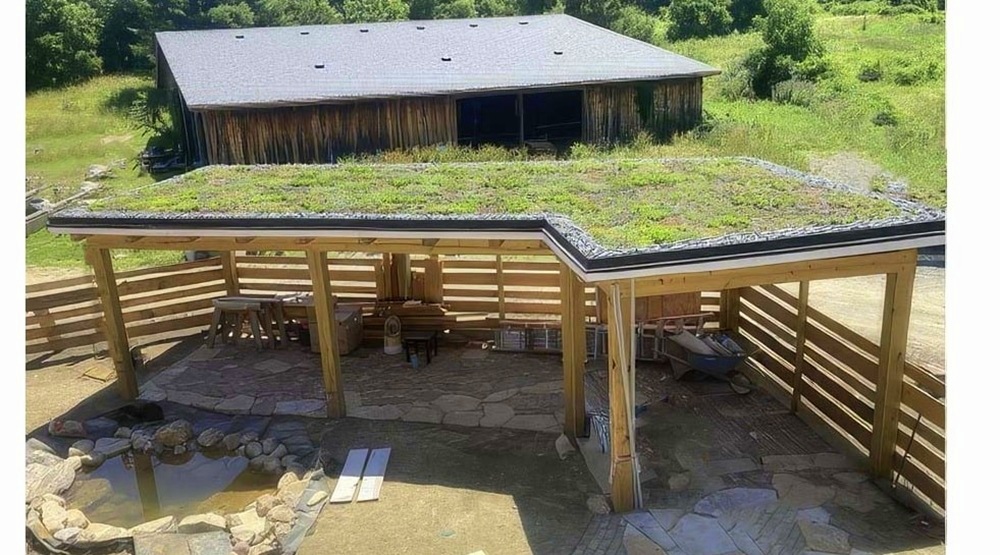 Extenzivní zelená střecha na dřevěné pergole s rozchodníky a vegetačním souvrstvím