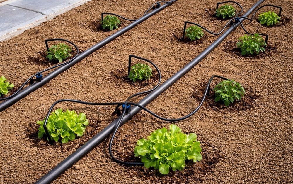 Kapkové zavlažování pomocí kapkovačů a cestných tvarovek v kombinaci s kapilárními jehlami