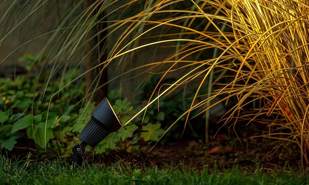 Zahradní LED reflektor nasvěcující okrasné trávy v noční zahradě pro dekorativní a funkční venkovní osvětlení.