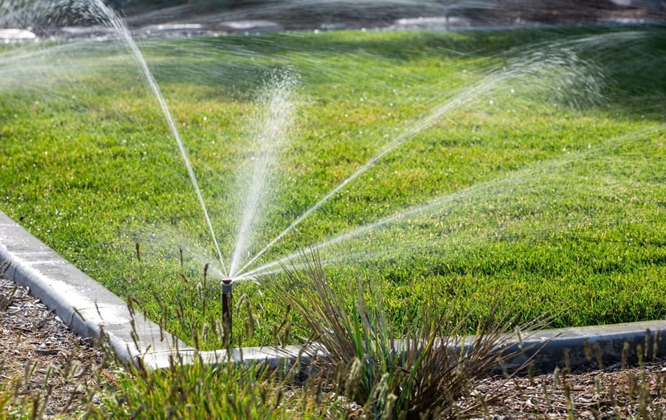 Zavlažování trávníku: spotřeba vody, náklady a možné úspory